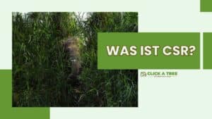 Eine grüne Grafik mit dem Text "Was ist CSR?" und das Bild von einem Elefanten hinter Grünen Blättern
