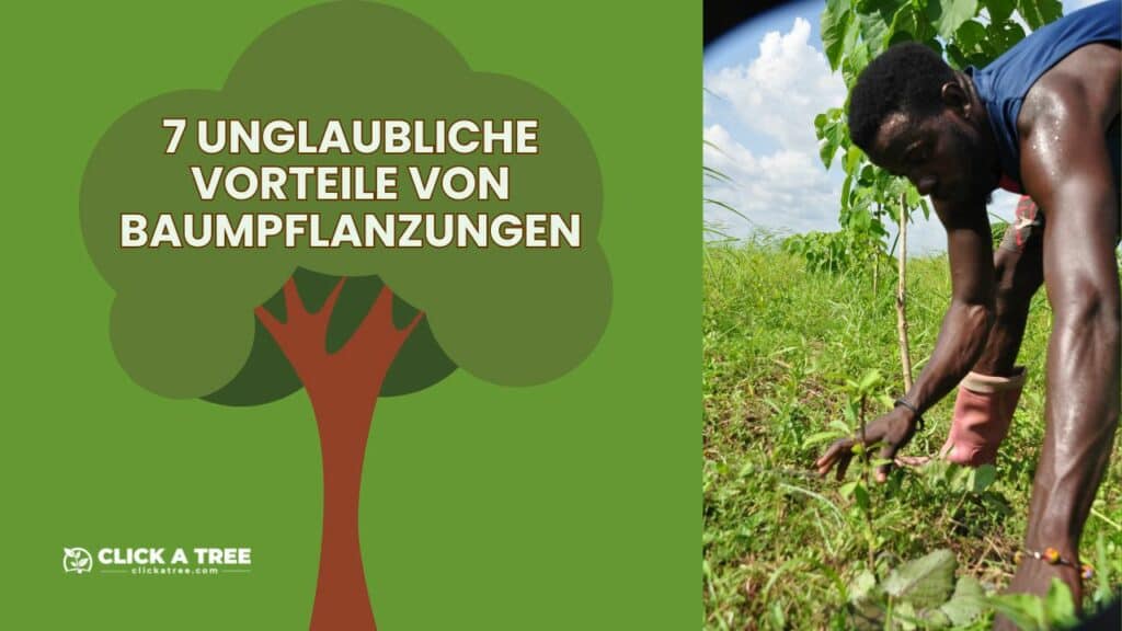 Eine Grafik von einem Zeichentrickbaum. Rechts daneben ein bild von einem schwarzen Mann der einen Baum pflanzt in tropischen gebieten