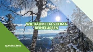 Eine Grafik mit einem Text "Wie Bäume das klima beinflussen". Im hintergrund die Berge mit bäumen im Schnee und die Sonne scheint am Horizont
