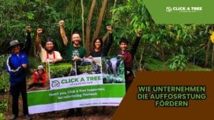 Eine Grafik mit dem Text "Wie Unternehmen die auffosrstung fördern". Ein großes bild mit jubelnden Menschen in einem Tropischen Wald welche ein Banner halten von der Firma "Click A Tree"