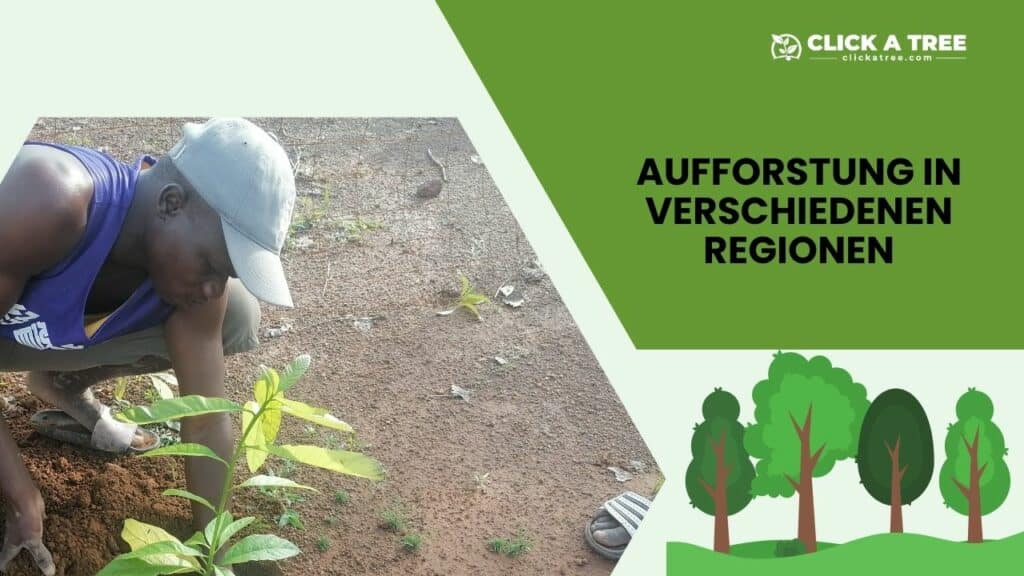 Eine Grafik mit dem Text "Aufforstung in verschiedenen regionen". Links unten ein Bild von einem Mann in Tropischem Gebiet der ein jungen Baum, bereit zum pflanzen, in der Hand hält.