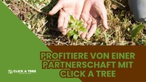 Eine Grafik mit dem Text "Profitiere von einer Partnerschaft mit click a tree". Ein bild mit einer neue gesähten Pflanze mit offenen Handflächen.