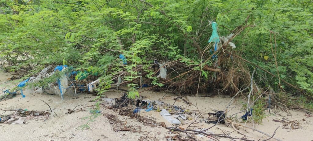 An der Küste, auf den Philippinen, hängt Plastikmüll im Geäst der Mangroven und anderer Pflanzen.
