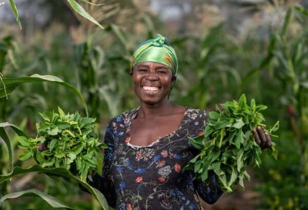 Eine Frau in Ghana lächelt herzlich und hält in beiden Händen Baumsetzling