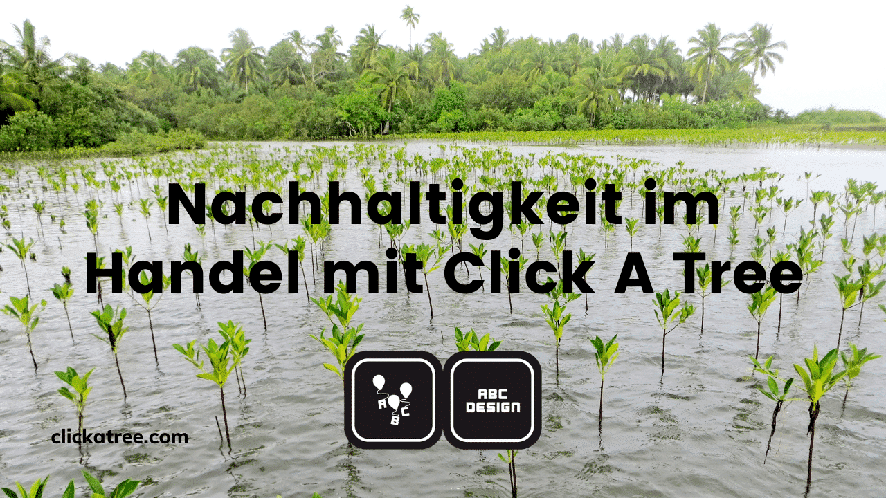 Titelbild der Success-Story von unserem Partner ABC Design mit dem Titel"Nachhaltigkeit im Handel mit Click A Tree". Im Hintergrund sieht man unser Projekt auf den Philippinen mit vielen Mangroven im Wasser.
